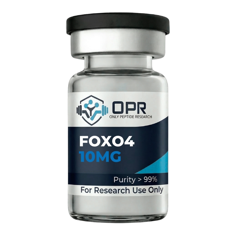 FOXO4 10